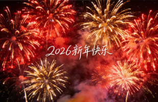 麗水威儀自動(dòng)化技術(shù)有限公司祝大家新年快樂(lè)！
